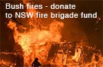 Bush Fires fund