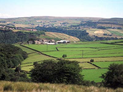 Horsehold from Edge End Moor