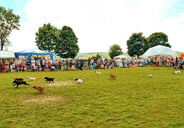 Midgley Village Fete