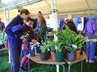 Plant sale