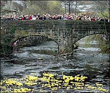 Duck Race