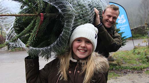 Crags Christmas Trees