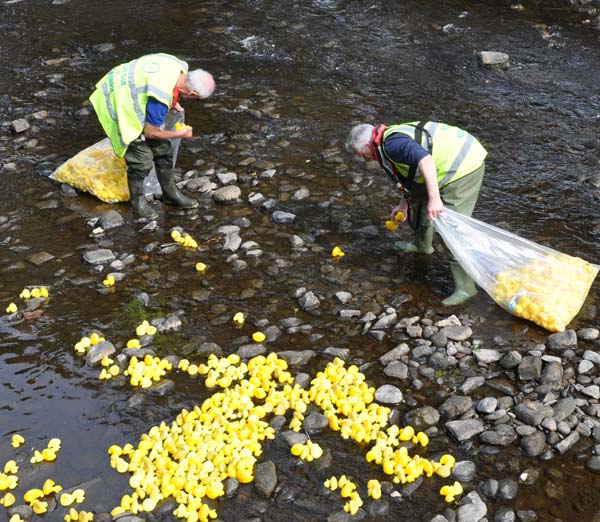 Duck Race