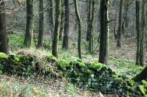 Hardcastle Crags