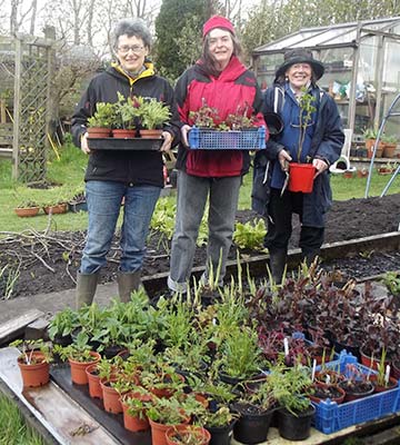 Blackshawhead Plant Sale and Spring Fair 