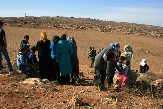 Postcard from Palestine