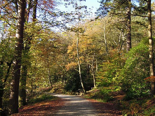 Hardcastle Crags