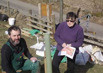 Community orchard