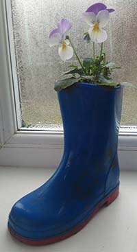 Wellies