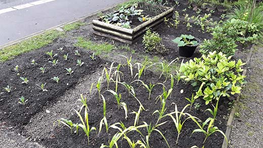 Hope Chapel Garden