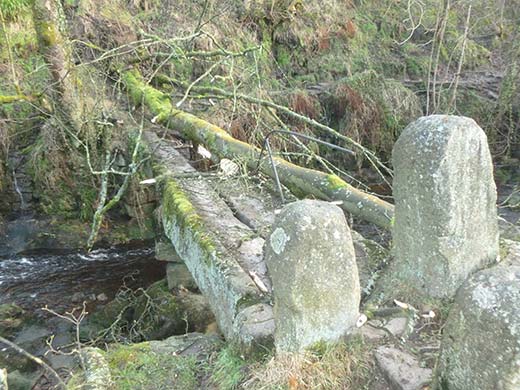 Colden Bridge