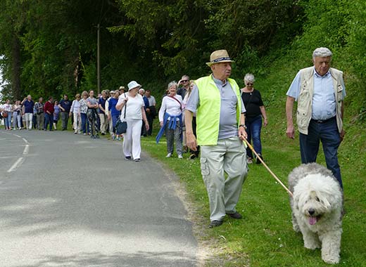 A little walk led by Guy Denudt 