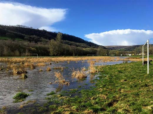 Brearley Fields