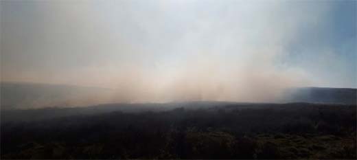 Moorland Fires