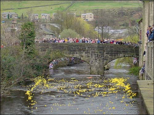 Duck Race 2004