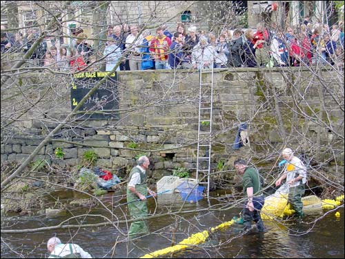 Duck Race 2004