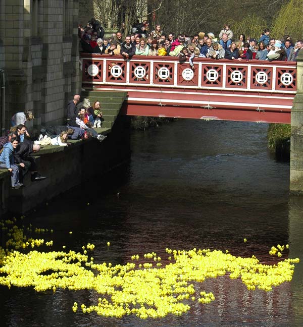 Duck Race 2006