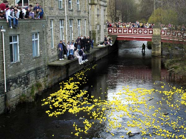 Duck Race 2006