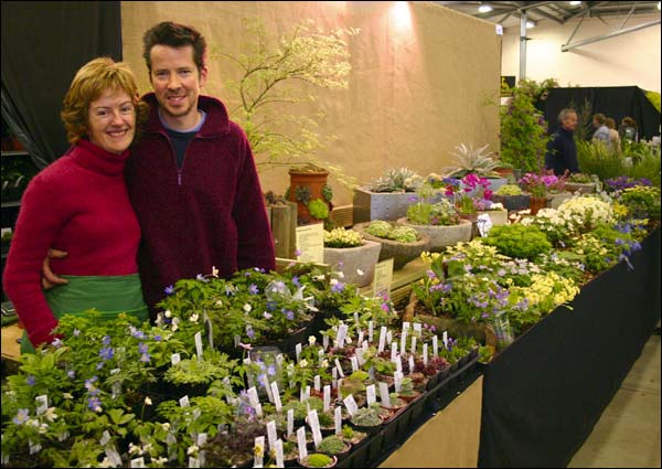 Hebden Bridge Nurseryman wins silver medal in first attempt at Harrogate Spring Flower Show