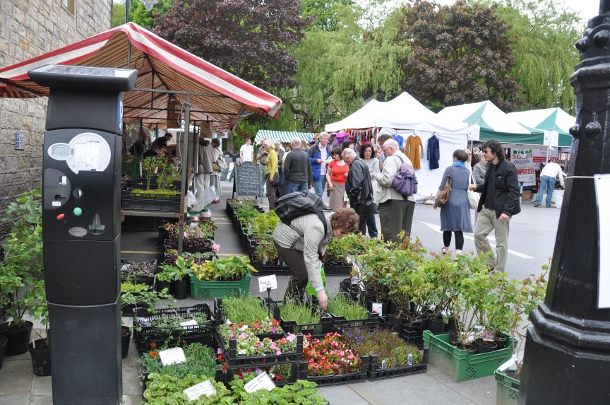 Big Green Market