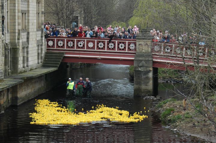 Duck Race 2007