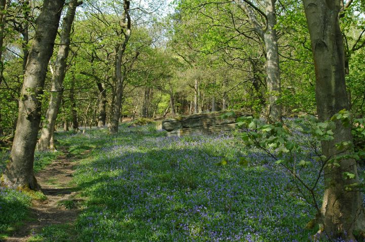 Hardcastle Crags - Spring 2007