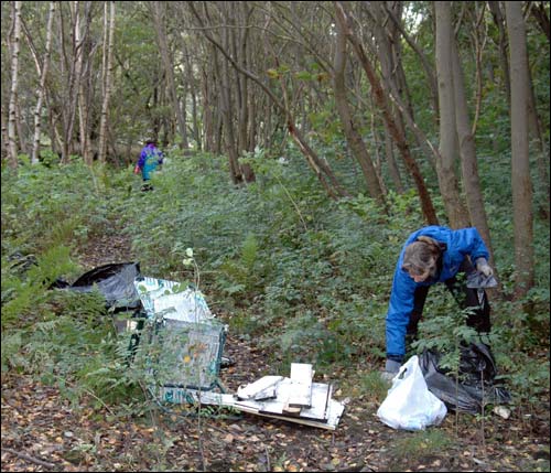 Millpond cleanup