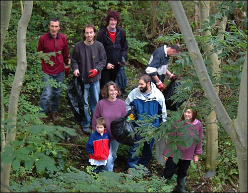 Millpond cleanup