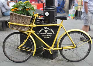 Yellow velo